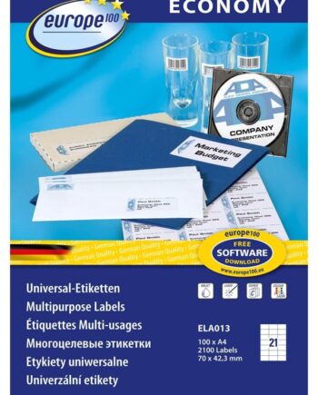 Avery Europe 100 Universal Etiket 70x42 3mm  2100