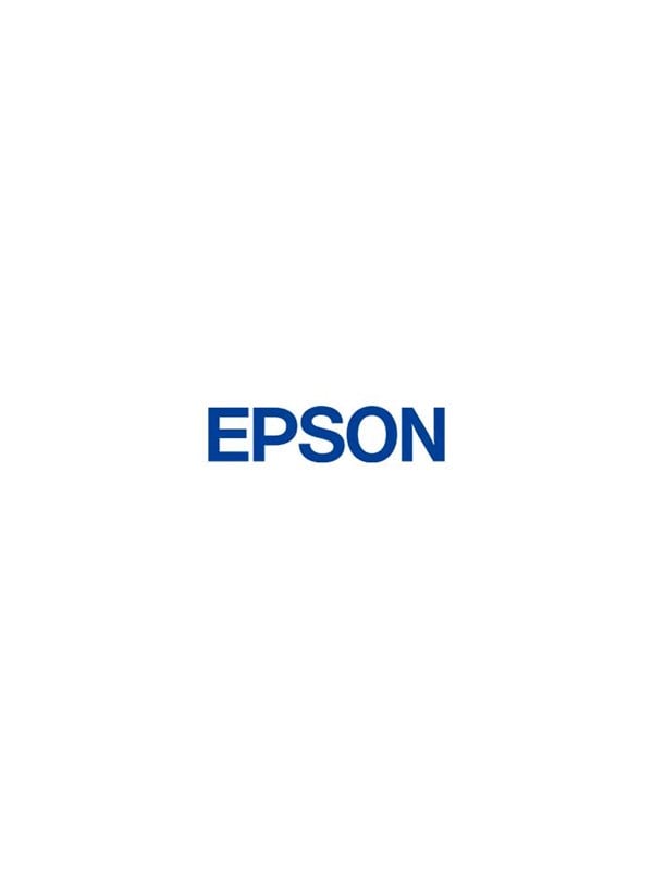Epson Blækpatron Blækpatron Mat Sort