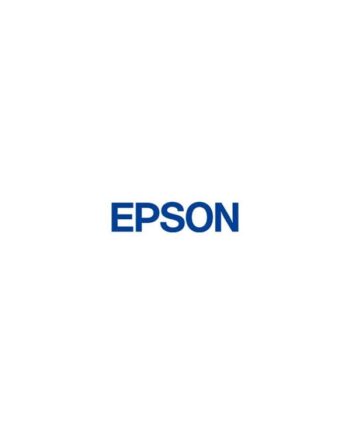 Epson Ultrachrome Ds Flourescent Yellow T46d640 1l