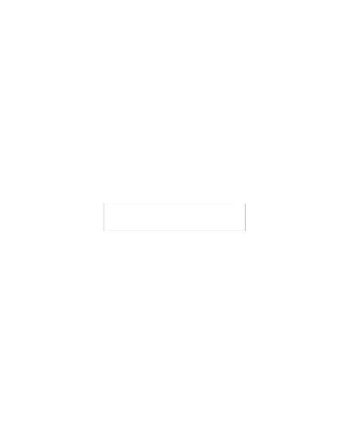 Seiko Instruments Slp-fn Etiketter Til Filmapper 110 Etikette    38   190 Mm